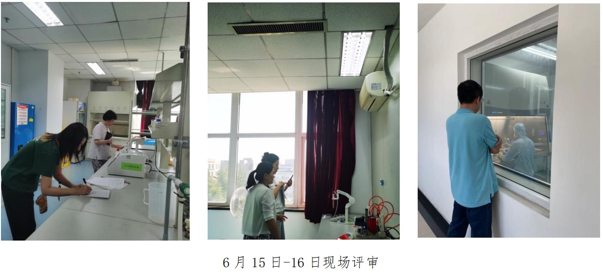 屏幕截图 2024-09-12 162358.jpg